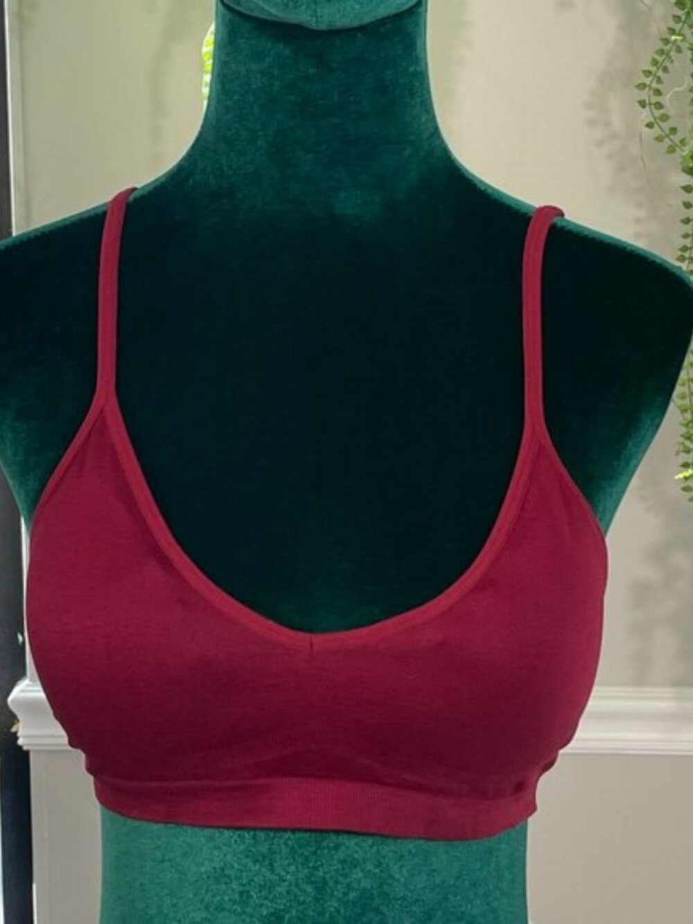 Zeanna Outfitters | Seamless Comfort Wirefree Bralette in Cabernet